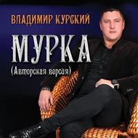 Владимир Курский - Лицемер