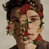 Shawn Mendes & Camila Cabello  -  Senorita (Qodes Remix)