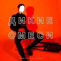 Nebezao feat. Dj Zavala - Дикие смеси