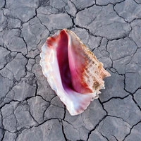 The Killers - The Man (Jacques Lu Cont Remix)