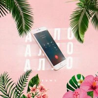 Zuwu - Алло