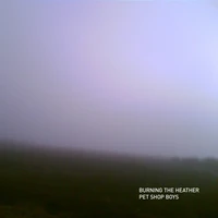 Pet Shop Boys - Decide (CYA Remix)